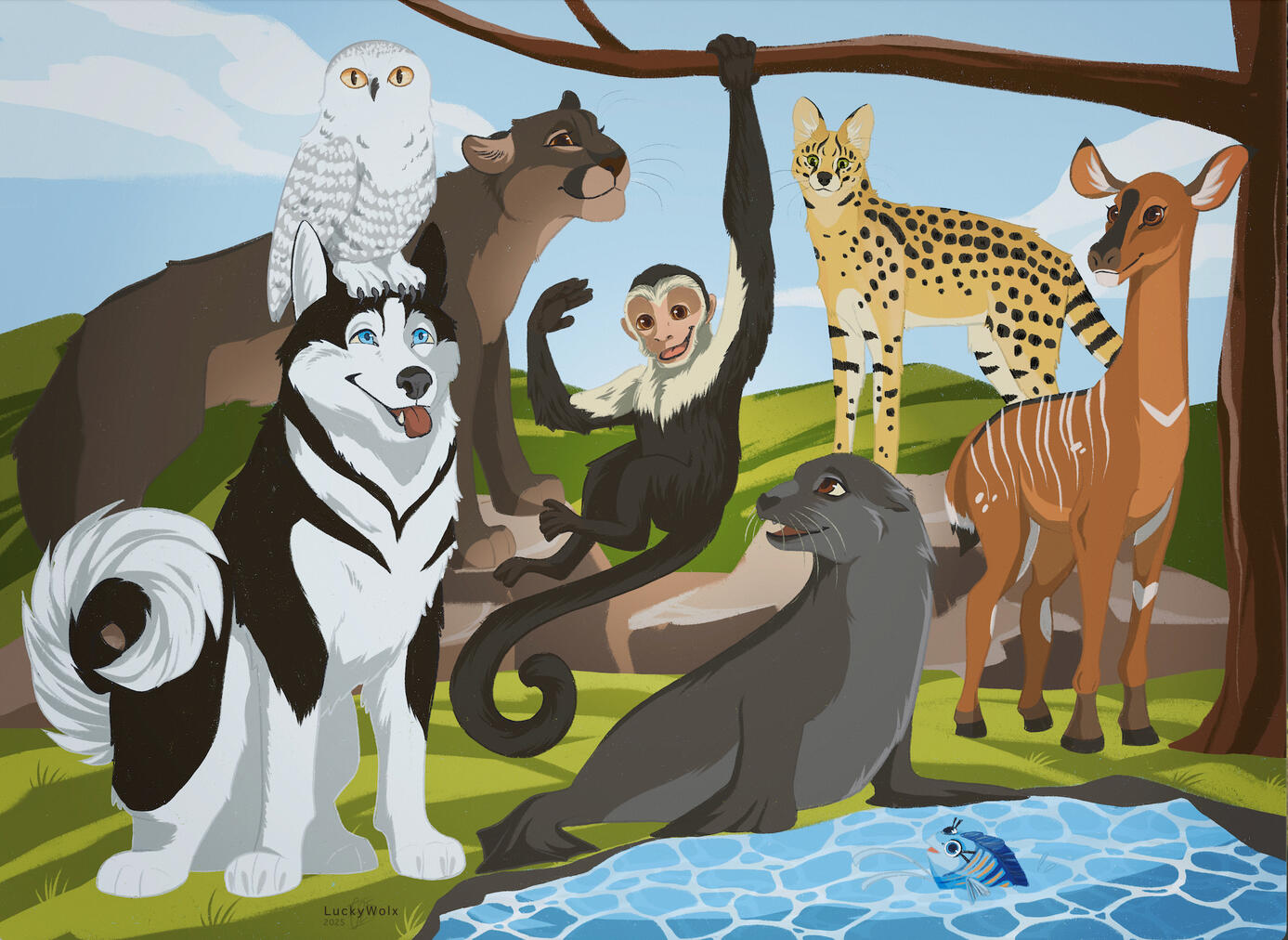Animals team Animals team