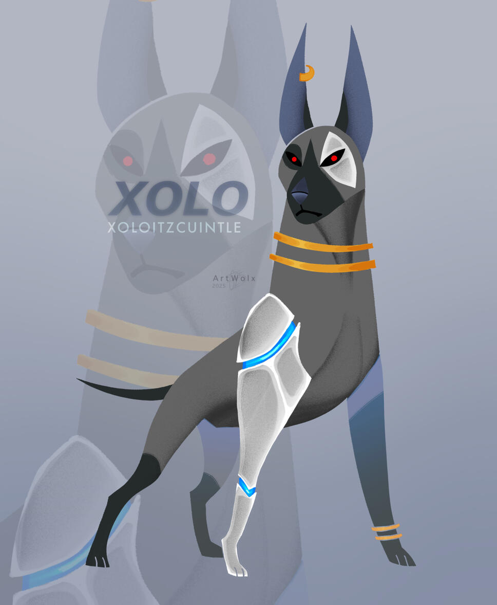 Xoloitscuintle Xoloitscuintle